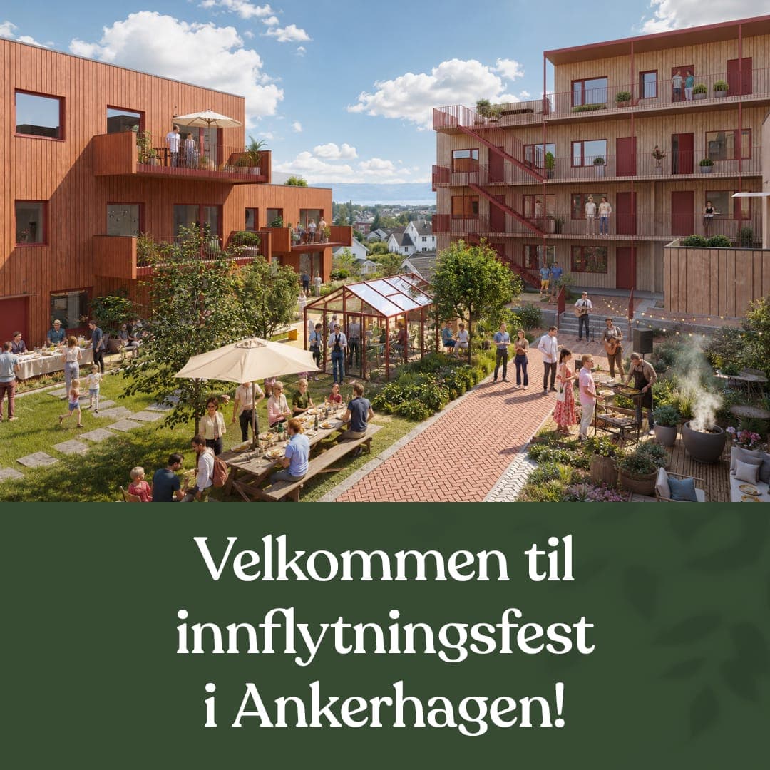 Et bilde som er lagt til i innlegget.